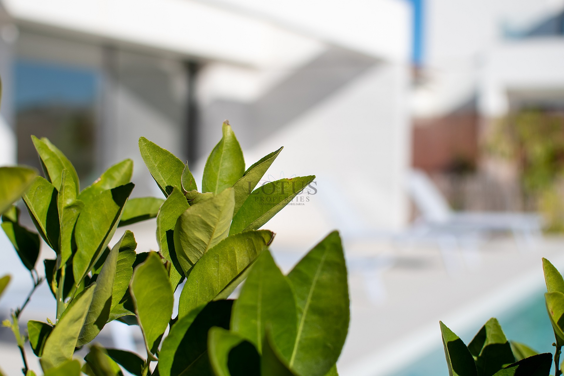 Fantastische nieuw geproduceerde villa met twee verdiepingen - Lotus Properties