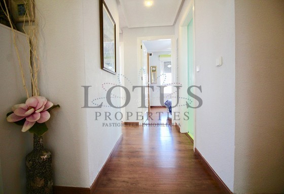 Пентхаус в Torrevieja - Вторичная недвижимость - Lotus Properties