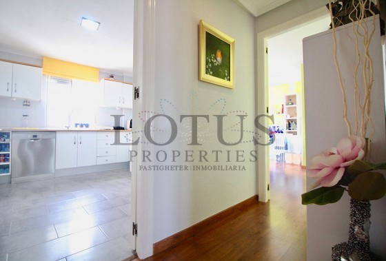 Пентхаус в Torrevieja - Вторичная недвижимость - Lotus Properties