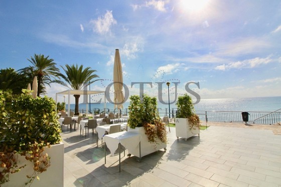 Exklusiv takvåning i La Recoleta - Punta Prima  - Lotus Properties