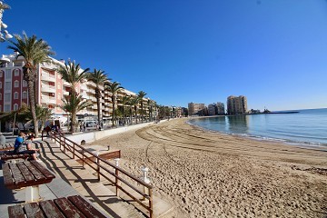 New apartments only 200 m to the beach - Torrevieja - Lotus Properties