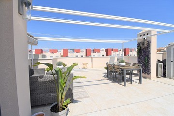 Top floor apartment with large roof terrace in the popular area of Aguas Nuevas - Lotus Properties