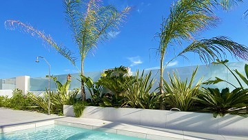 Luxury villa with padelcourt, pool & basement - Torrevieja - Lotus Properties
