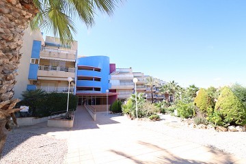 Sydvänd med poolområde och Padel banor - Cabo Roig - Lotus Properties