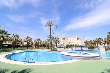 South facing with pool area and Padel courts - Cabo Roig - Lotus Properties