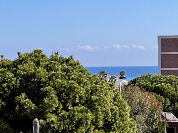 Таунхаус с видом на море, в популярном районе La Rosaleda - Lotus Properties