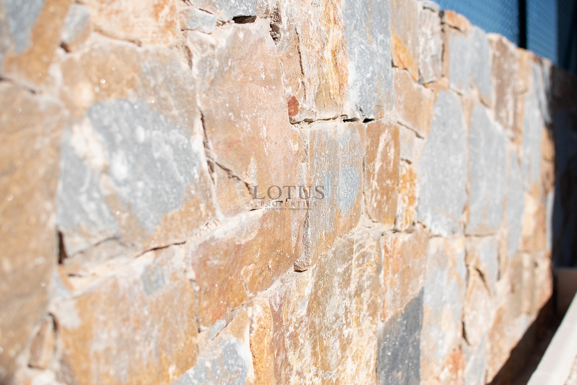 Fantastiska nyproducerade enplansvillor - Lotus Properties