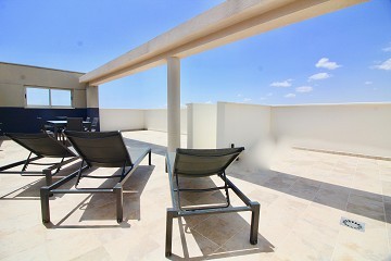 Penthouse out of the ordinary in Los Dolses - Villamartin - Lotus Properties