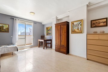 Cozy studio in Central Torrevieja with large balcony - Lotus Properties