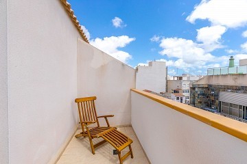 Cozy studio in Central Torrevieja with large balcony - Lotus Properties