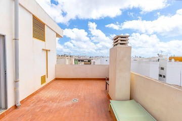 Cozy studio in Central Torrevieja with large balcony - Lotus Properties