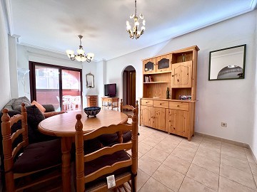 Apartamiento Torrevieja Centro  - Lotus Properties