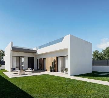 House in San Miguel de Salinas  - Lotus Properties