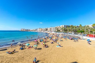 Отремонтированный на первой линии пляжа Плайя-Лос-Локос с впечатляющим видом на море. - Lotus Properties