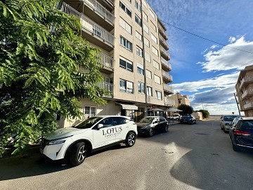 Appartement op 100 meter van de zee - Torrevieja - Lotus Properties