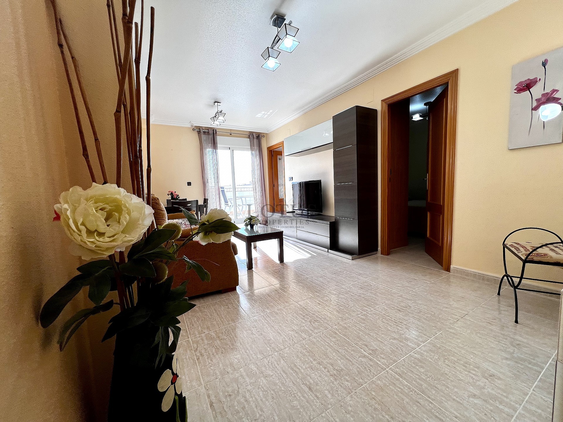 TAKLÄGENHET MED HAVSUTSIKT I TORREVIEJA - Lotus Properties