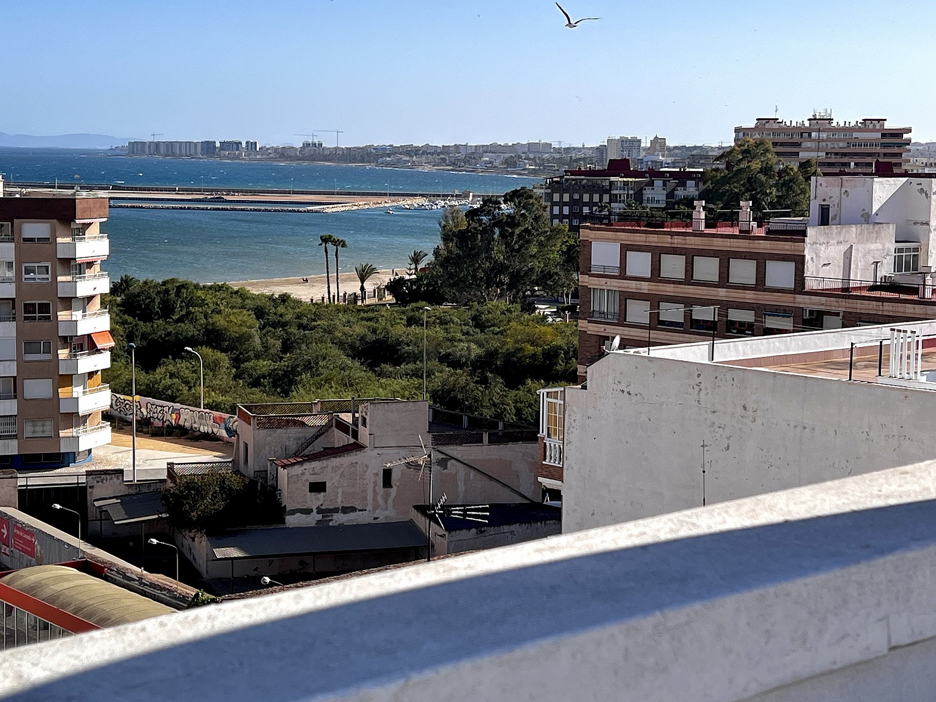 TAKLÄGENHET MED HAVSUTSIKT I TORREVIEJA - Lotus Properties