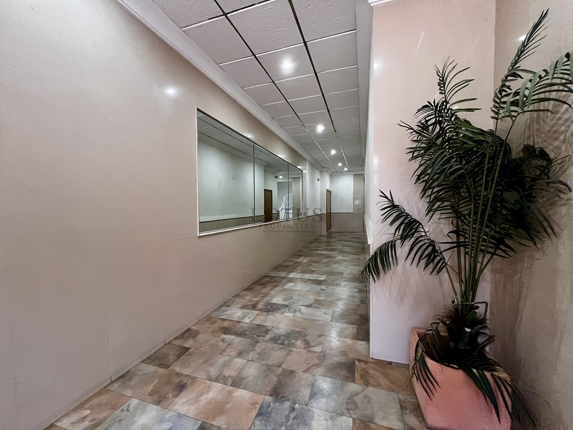 TAKLÄGENHET MED HAVSUTSIKT I TORREVIEJA - Lotus Properties