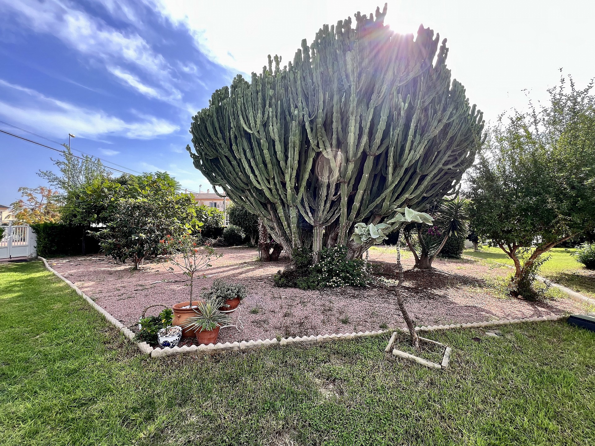 дом с частным солярием районе Ла Флорида. - Lotus Properties