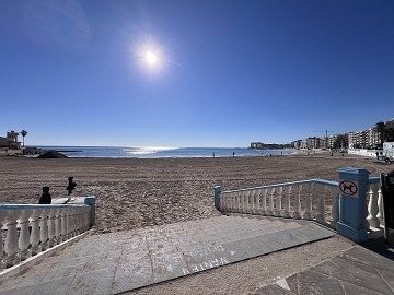 Lägenhet 150 meter till Playa de los Locos - Lotus Properties