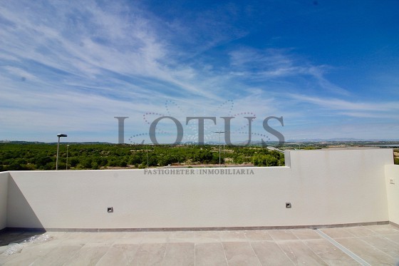 Mark & Takvåningar med 3 Sovrum - Torrevieja - Lotus Properties