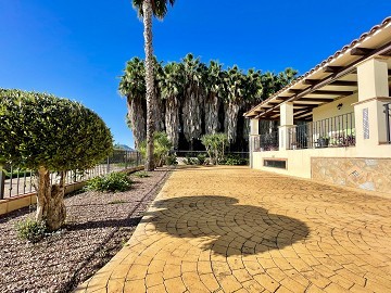 Amazing finca in Orihuela with 4 bedrooms and lovely views! - Lotus Properties