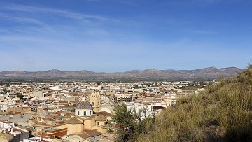 Townhouses with solarium and swimming pool in Cox - Alicante - Lotus Properties