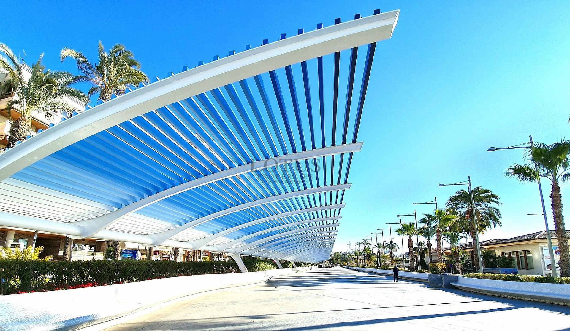 Fantastiskt läge 100 meter från Havet - Torrevieja  - Lotus Properties