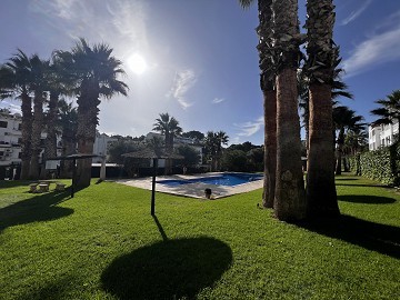 GOED GEPLAND APPARTEMENT IN HET HART VAN VILLAMARTIN PLAZA - Lotus Properties
