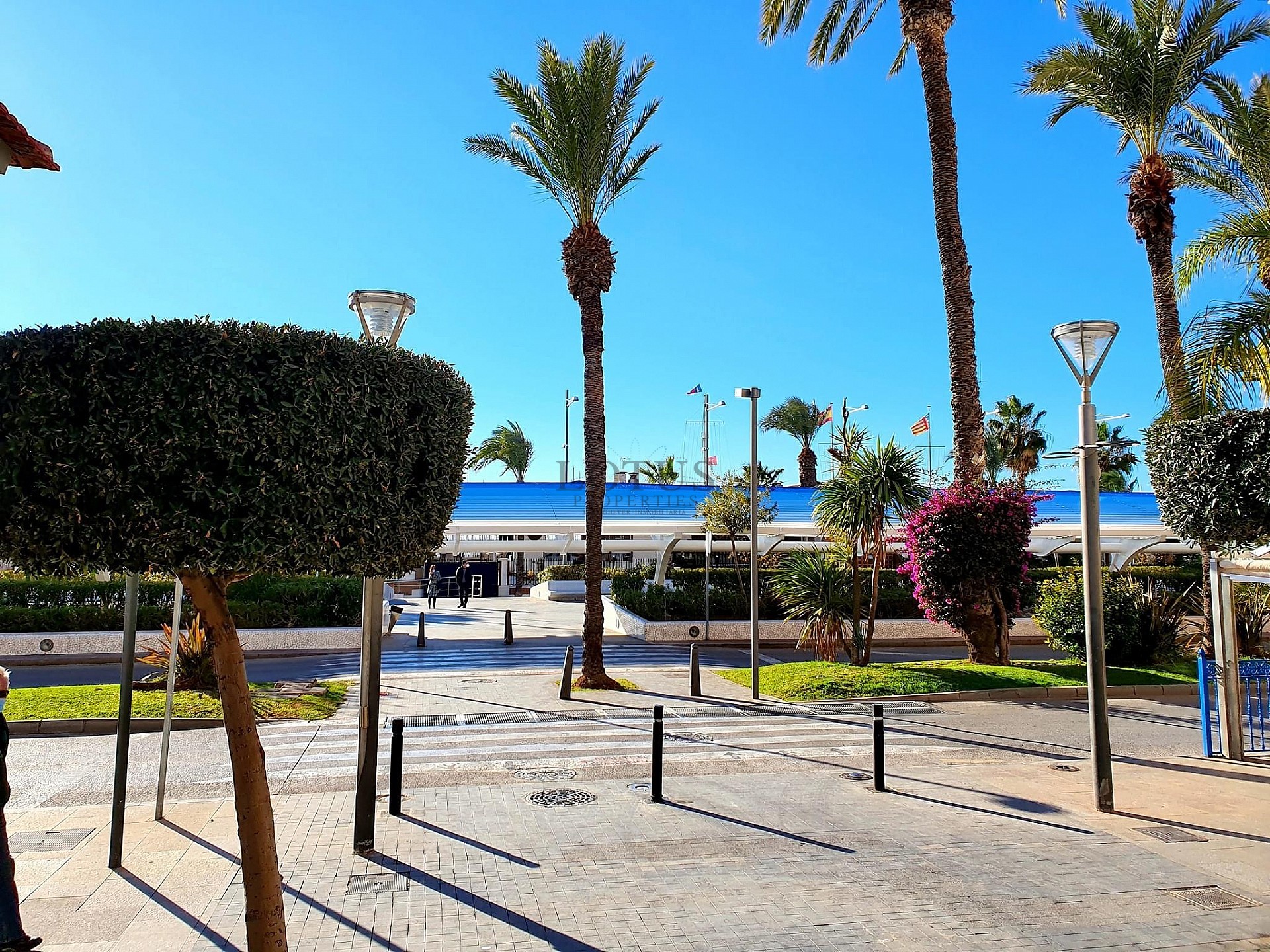 Nya lägenheter i Torrevieja City - Lotus Properties