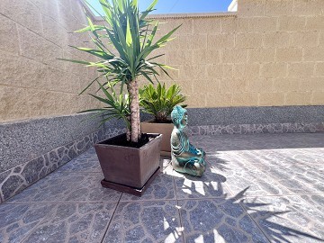 Casa adosada de una planta recién reformada en Torreta - Lotus Properties