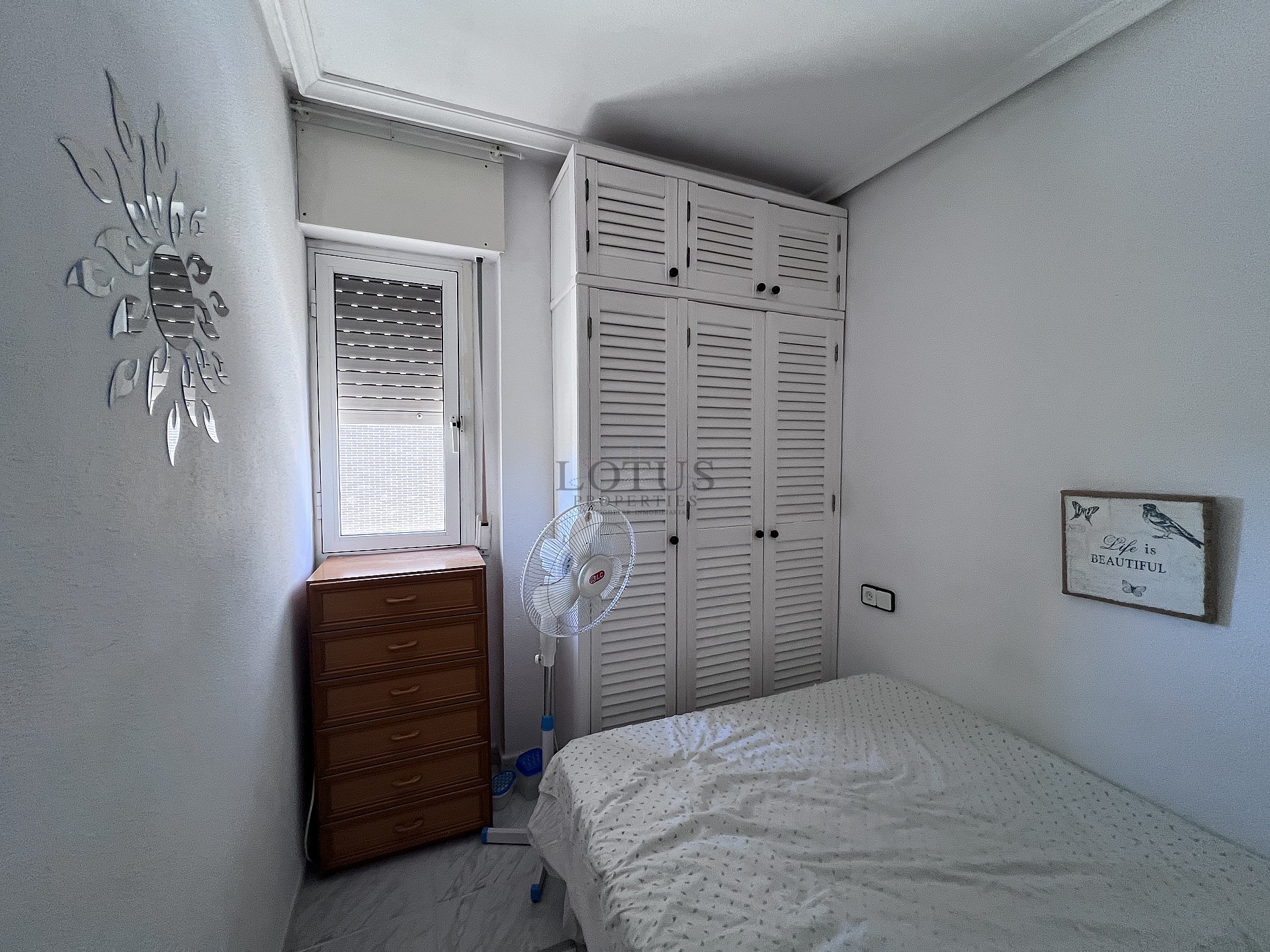 Apartamento céntrico en Torrevieja - Lotus Properties