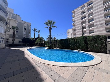 Centrally located flat in Torrevieja - Lotus Properties