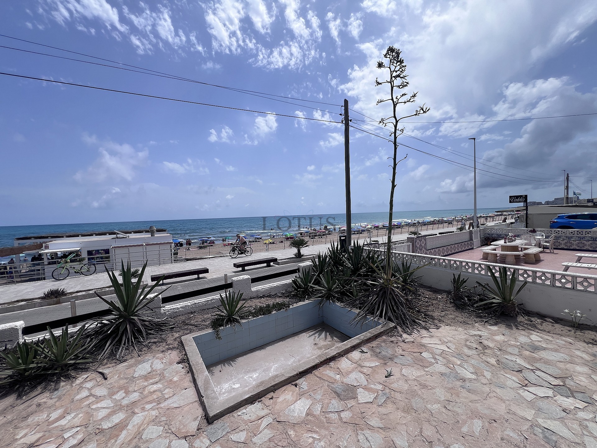 Отремонтированный дом, первая линия пляжа Ла Мата - Lotus Properties