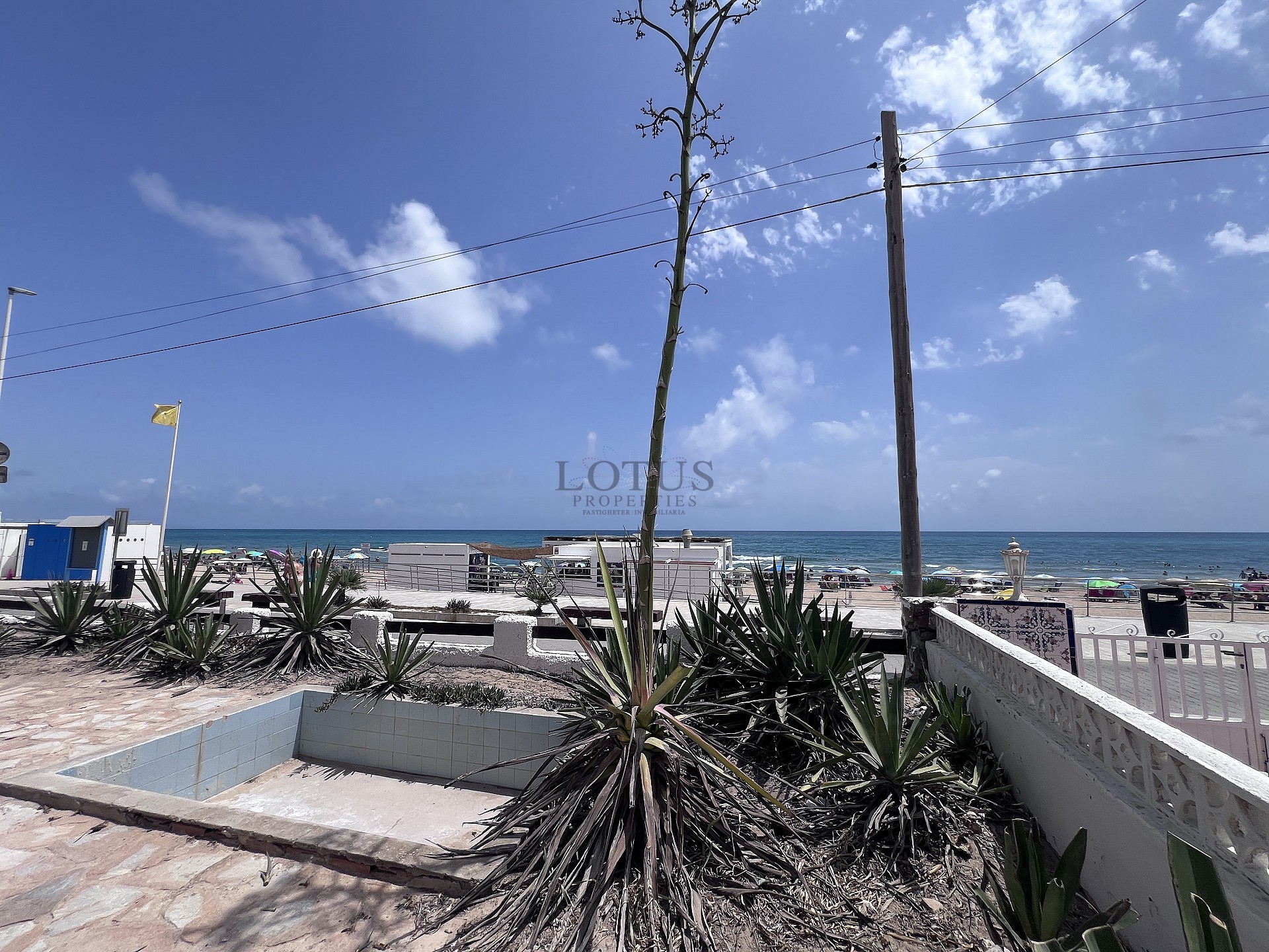 Отремонтированный дом, первая линия пляжа Ла Мата - Lotus Properties