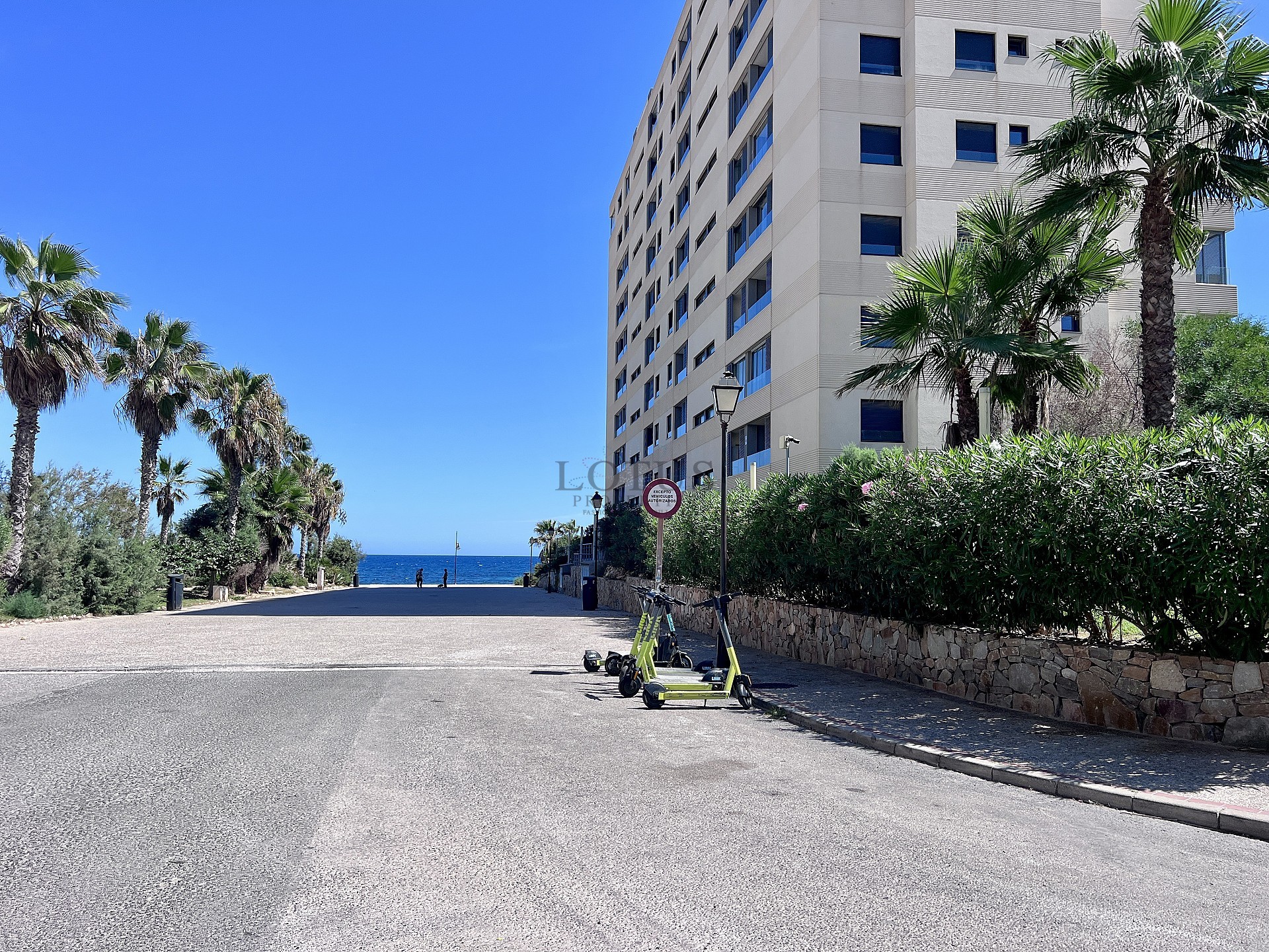 SPECTACULAR PENTHOUSE IN PUNTA PRIMA - Lotus Properties