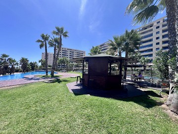 SPECTACULAR PENTHOUSE IN PUNTA PRIMA - Lotus Properties