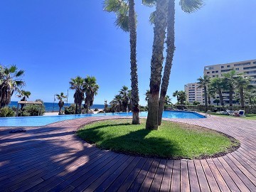 SPECTACULAR PENTHOUSE IN PUNTA PRIMA - Lotus Properties