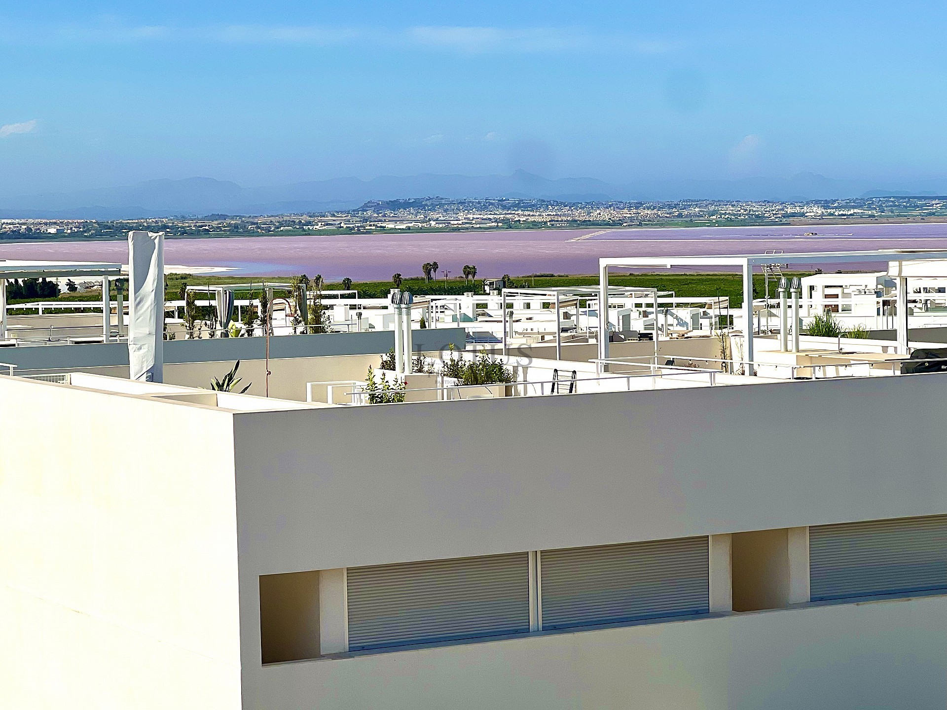 Exclusive 3-bedroom roof bungalow in Los Balcones - Lotus Properties