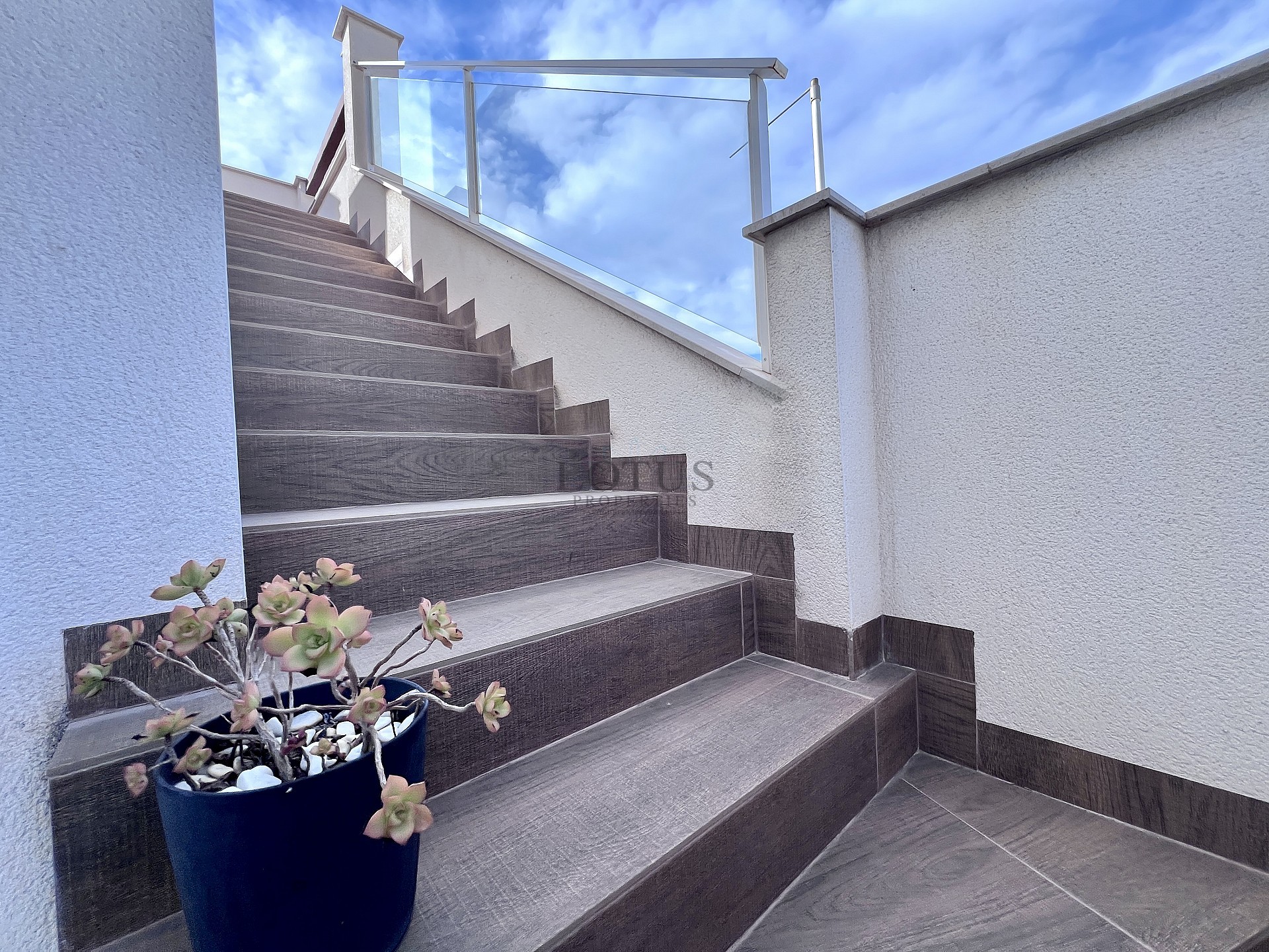 Exclusive 3-bedroom roof bungalow in Los Balcones - Lotus Properties