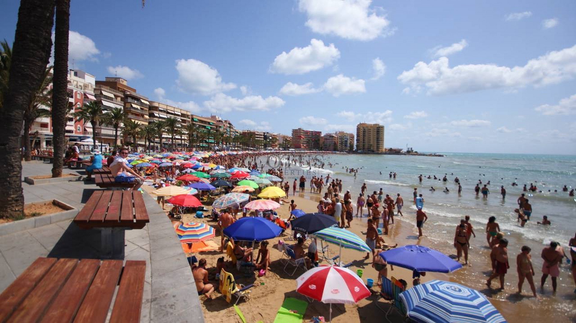 3-BEDROOM APARTMENT 450M FROM PLAYA DEL CURA. - Lotus Properties