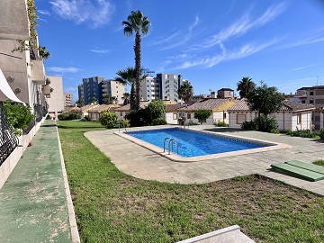 Amazing apartment in Torre del Moro, La Mata - Lotus Properties