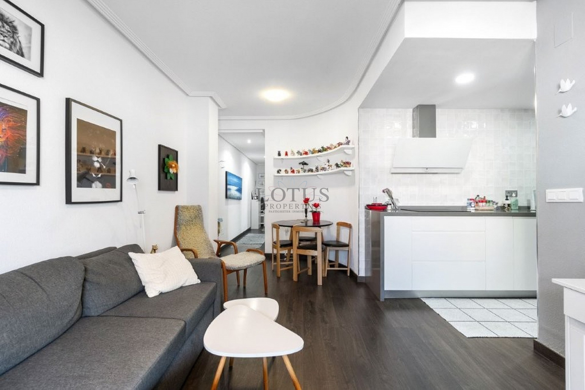 Gerenoveerd appartement met groot terras en dichtbij het centrum - Lotus Properties