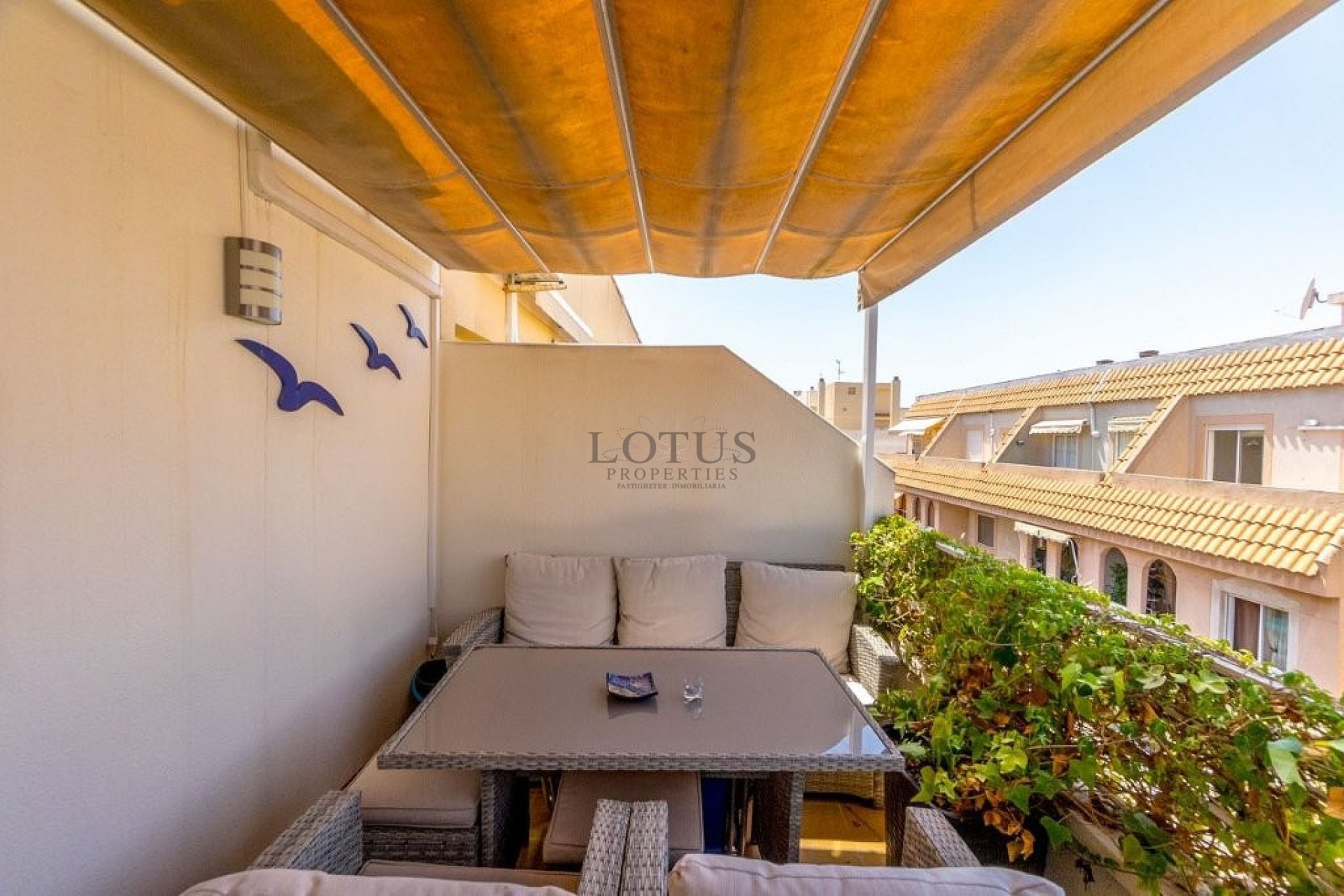 Gerenoveerd appartement met groot terras en dichtbij het centrum - Lotus Properties