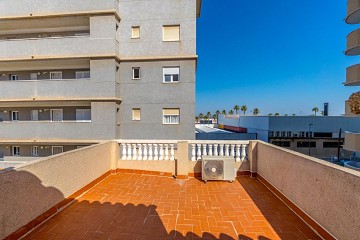 Spacious corner townhouse with 4 bedrooms and several terraces - Lotus Properties