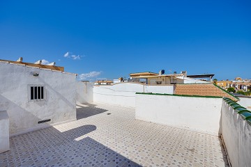 Charming top-floor bungalow, just 800 metres from the beach - Lotus Properties