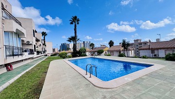 Amazing apartment in Torre del Moro, La Mata - Lotus Properties