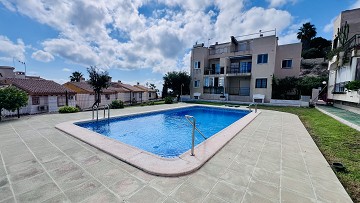 Amazing apartment in Torre del Moro, La Mata - Lotus Properties