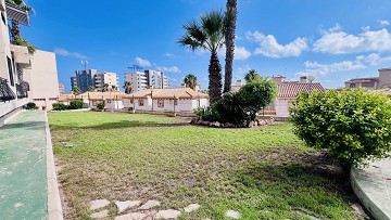 Amazing apartment in Torre del Moro, La Mata - Lotus Properties