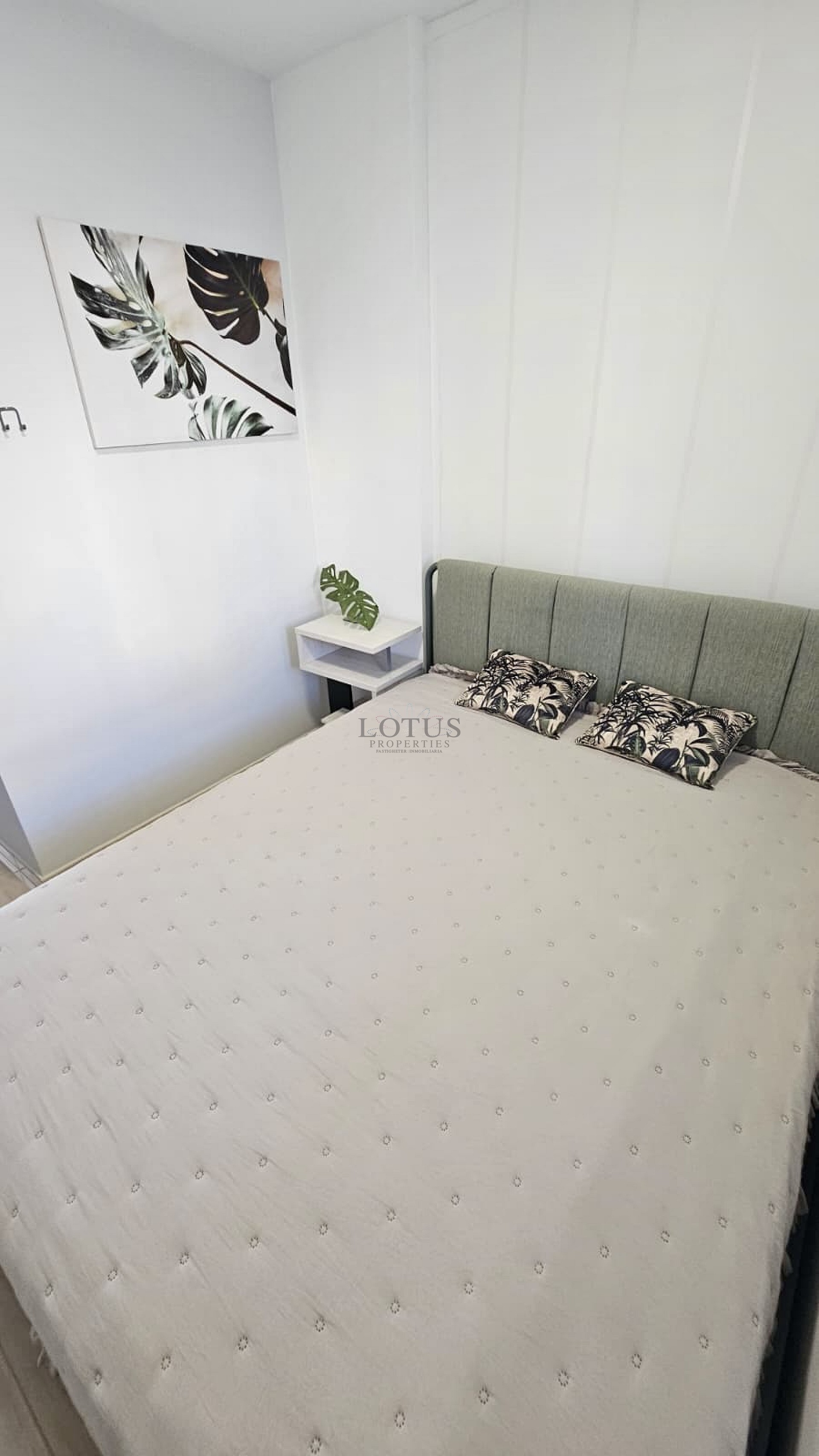 Maravilloso apartamento en la zona de Villamartín – ¡Listo para entrar a vivir! - Lotus Properties